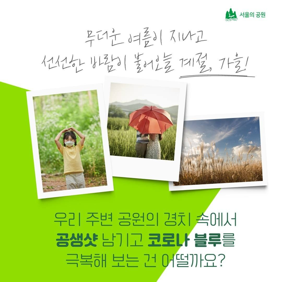 게시물 내 사진