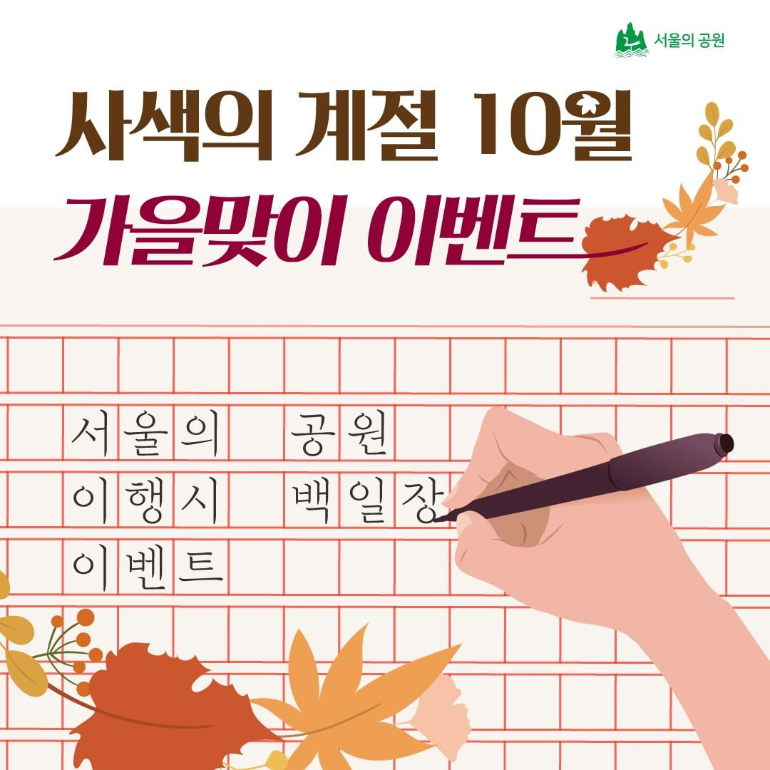 게시물 내 사진