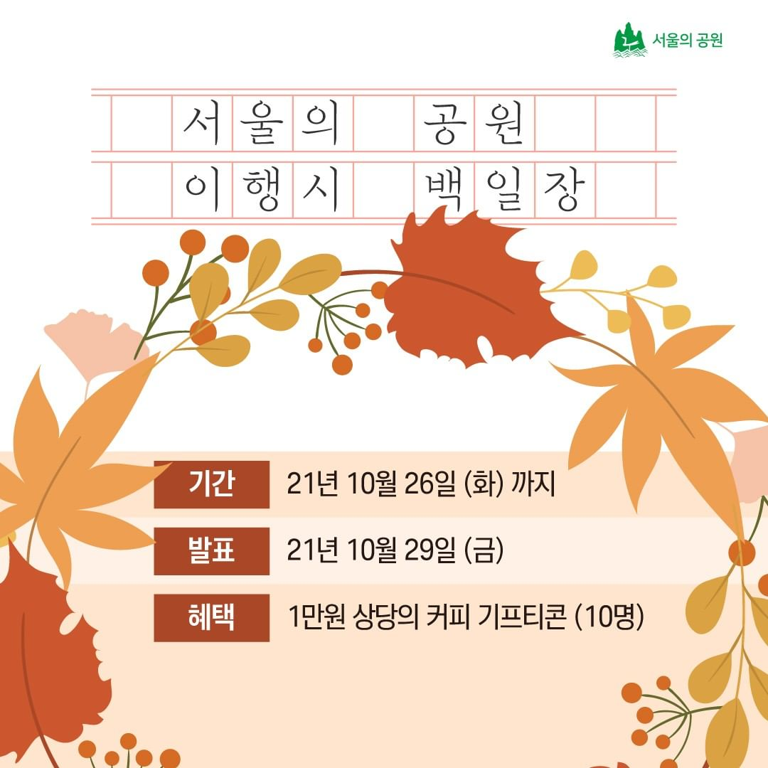 게시물 내 사진