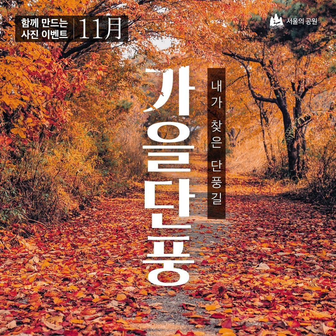 게시물 내 사진