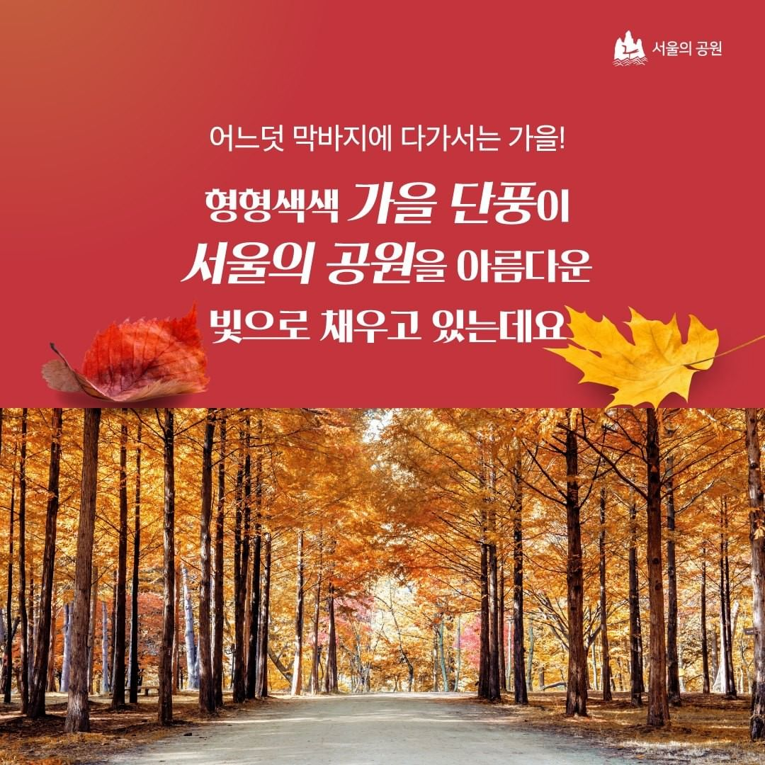 게시물 내 사진