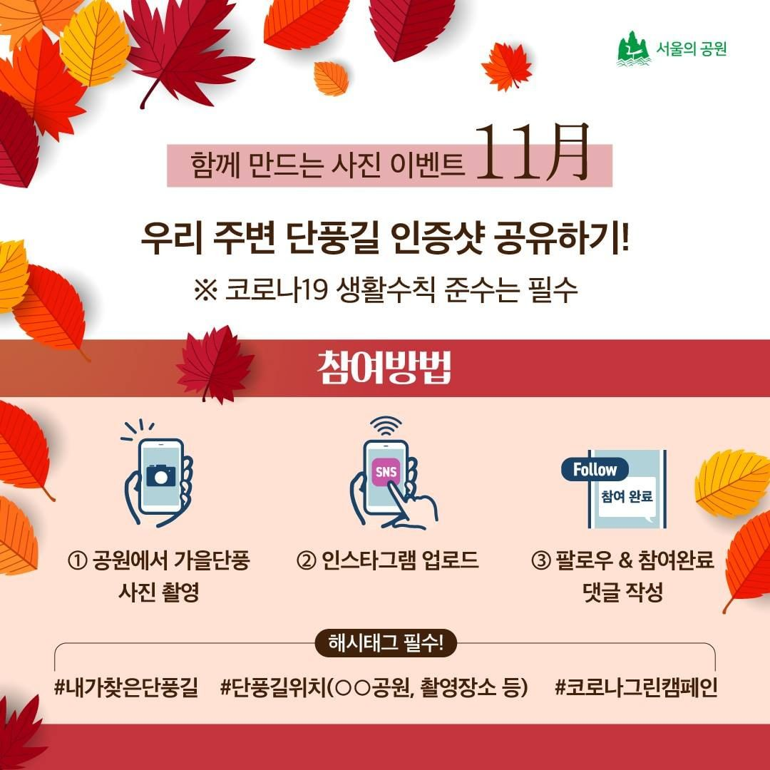 게시물 내 사진