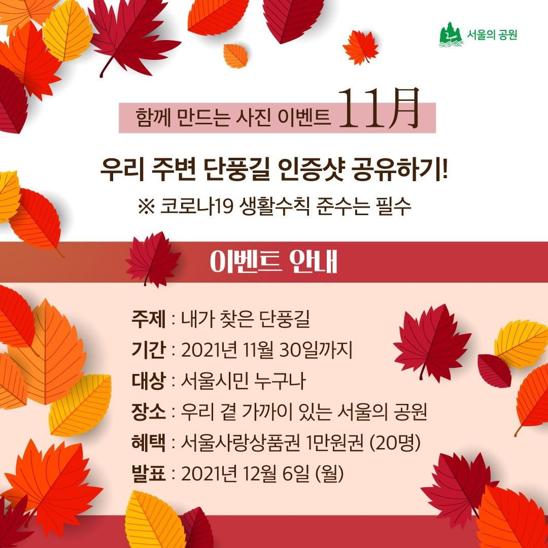 게시물 내 사진