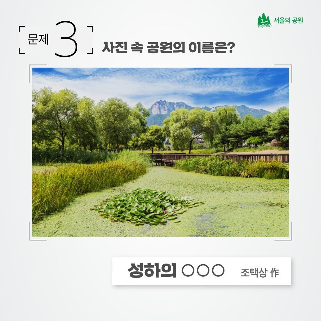 게시물 내 사진