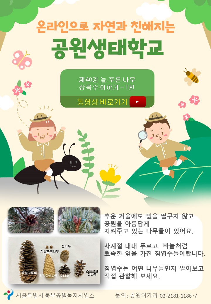 게시물 내 사진