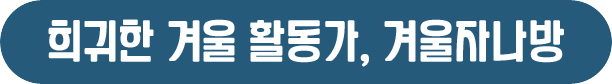 게시물 내 사진