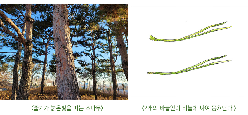 게시물 내 사진