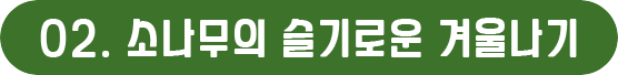 게시물 내 사진