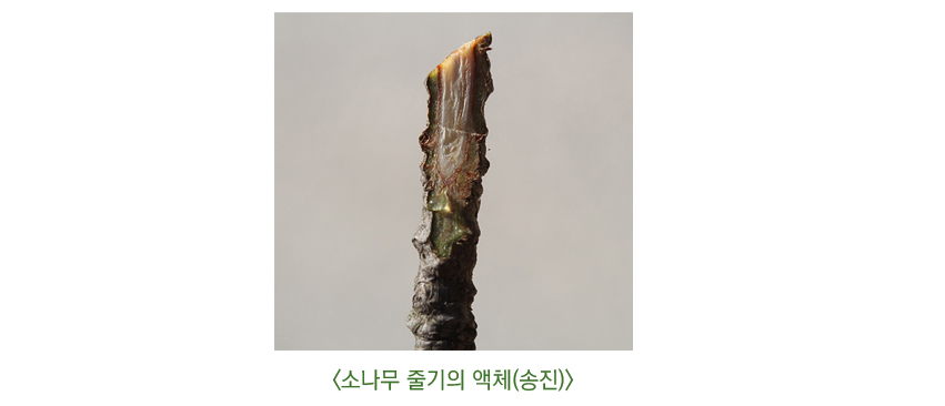 게시물 내 사진