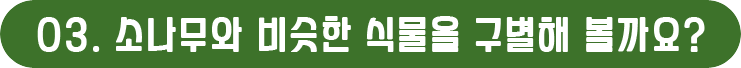게시물 내 사진