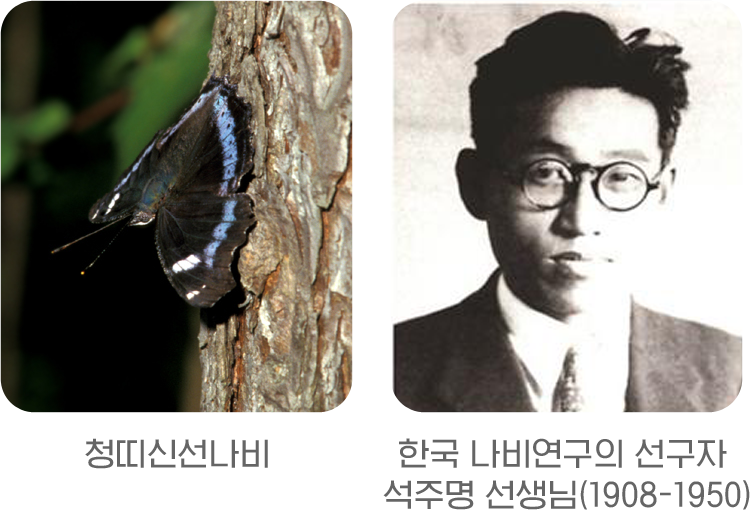게시물 내 사진