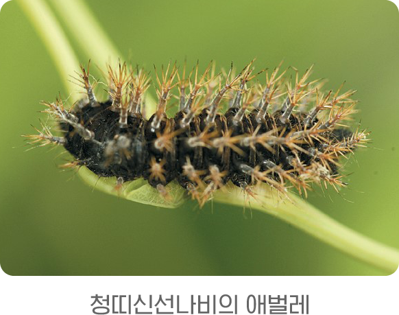 게시물 내 사진
