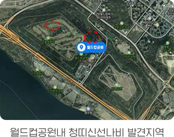 게시물 내 사진