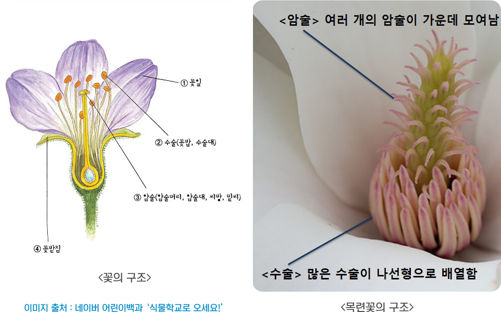 게시물 내 사진