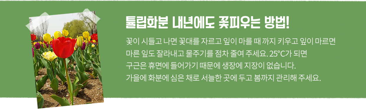 게시물 내 사진