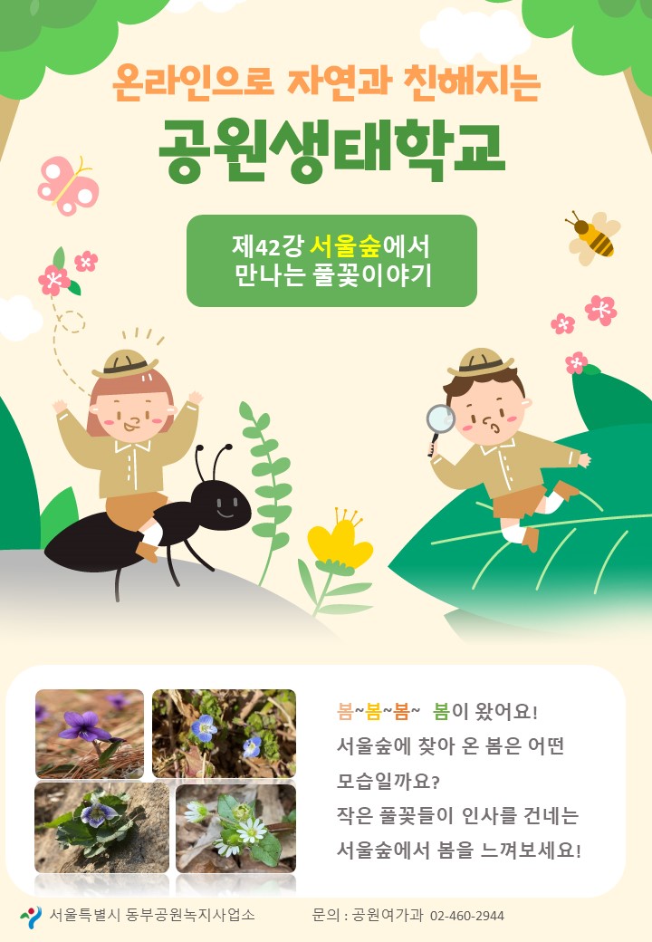 게시물 내 사진