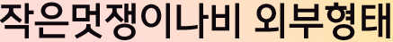 게시물 내 사진