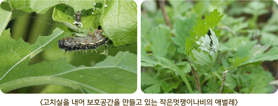 게시물 내 사진
