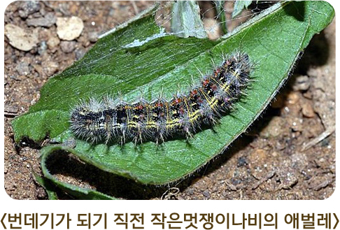 게시물 내 사진