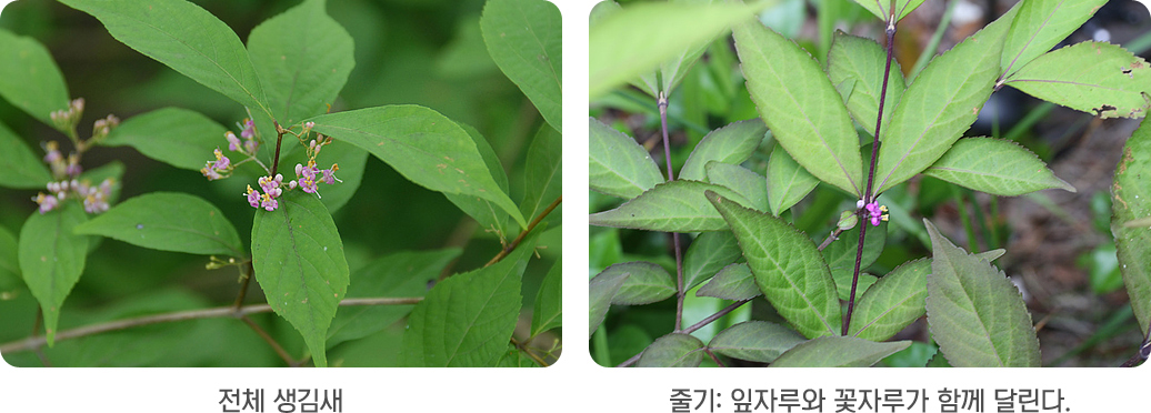 게시물 내 사진