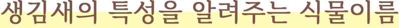 게시물 내 사진