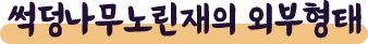 게시물 내 사진