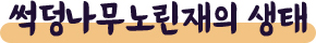 게시물 내 사진