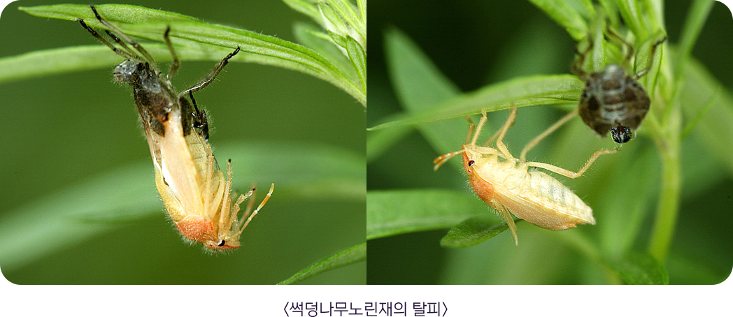게시물 내 사진