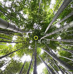 게시물 내 사진