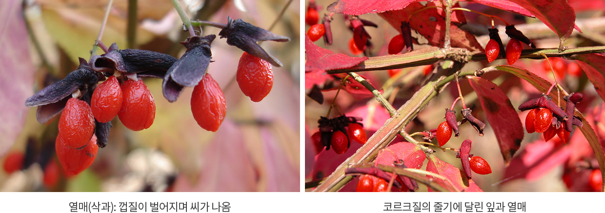 게시물 내 사진