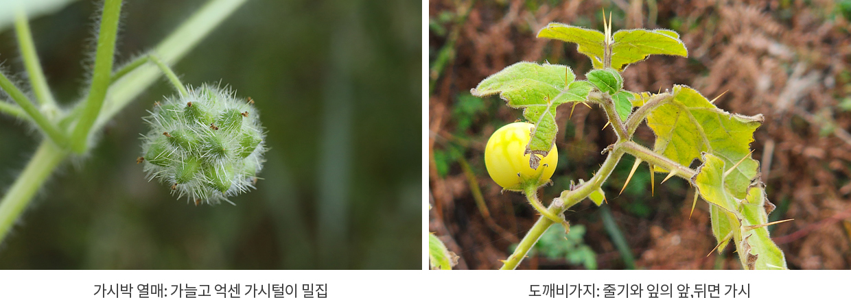 게시물 내 사진