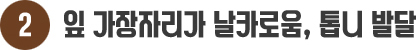 게시물 내 사진