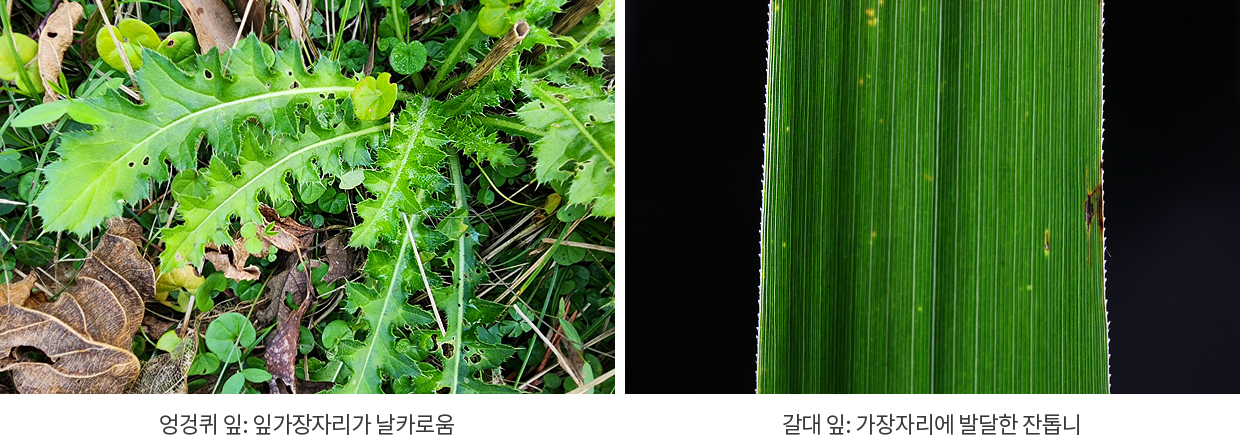 게시물 내 사진