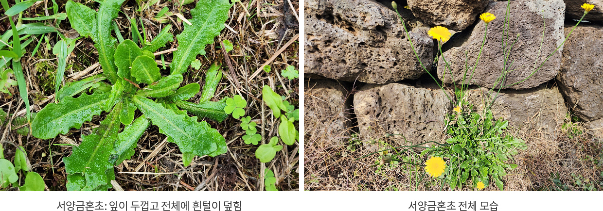 게시물 내 사진