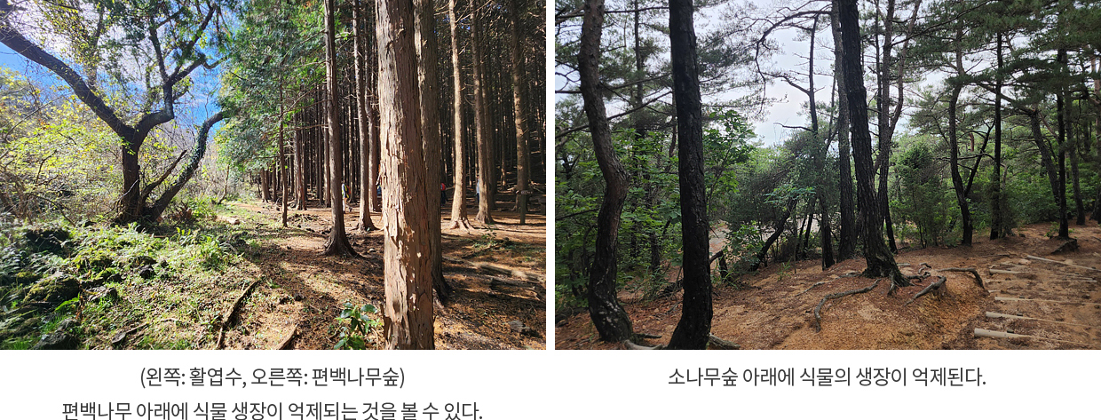게시물 내 사진