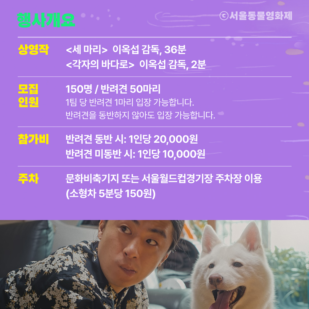 게시물 내 사진