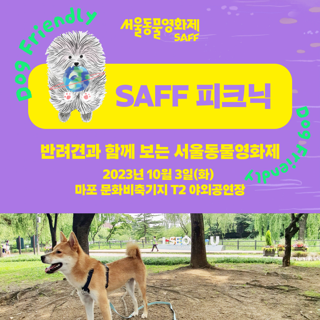 게시물 내 사진