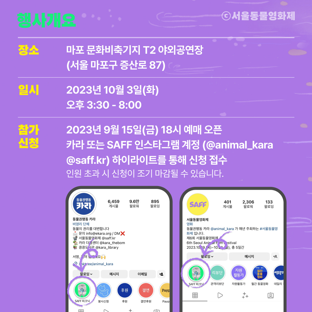 게시물 내 사진