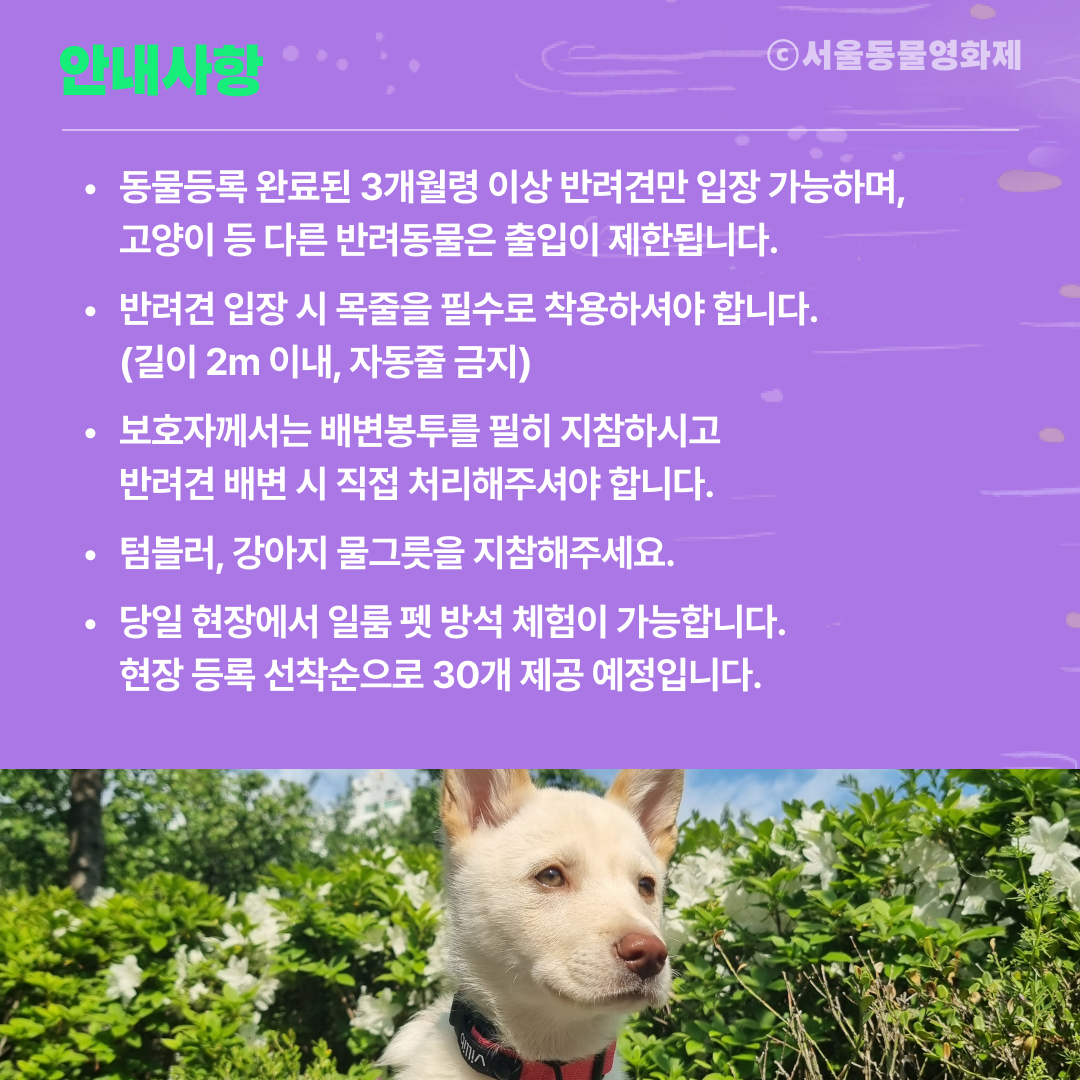 게시물 내 사진