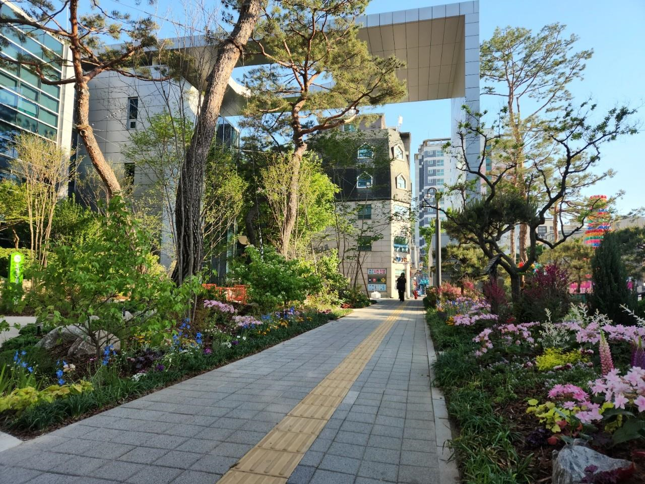계절별 봄사진