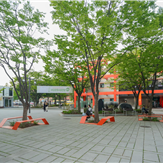 계절별 봄사진