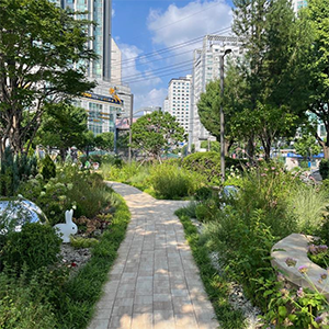 계절별 여름사진