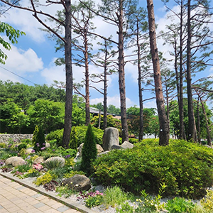 계절별 봄사진