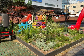 계절별 봄사진