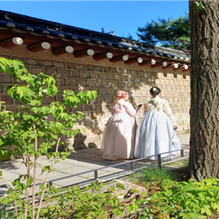 정원 대표 이미지