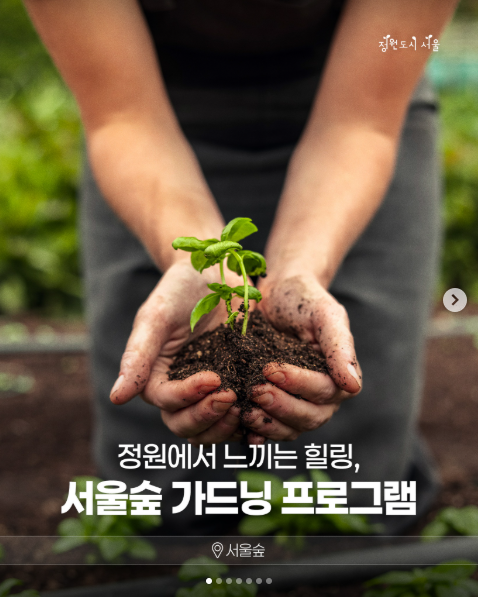 어린이날 특별 원예프로그램, 직장인을 위한 퇴근 후 원예교실 등 정규 프로그램 외 특별 프로그램도 함께 마련될 예정이니, 자연을 가까이에서 배우고 경험하고 싶다면 서울숲 가드닝 프로그램에 참여해 보세요 