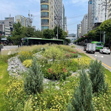 정원 대표 이미지