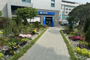 계절별 봄사진