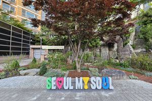 계절별 봄사진
