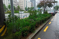 계절별 여름사진